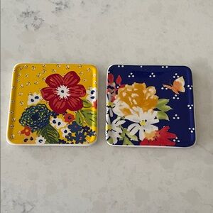 Pioneer Woman Coasters